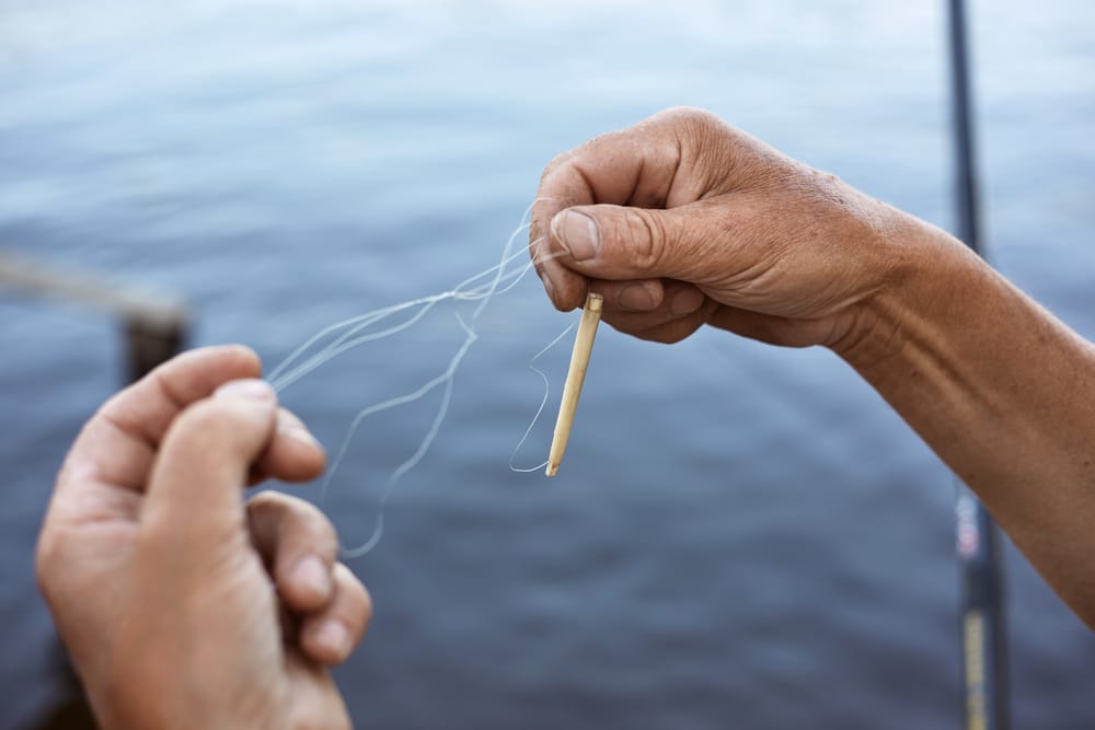 Best knot for fishing line